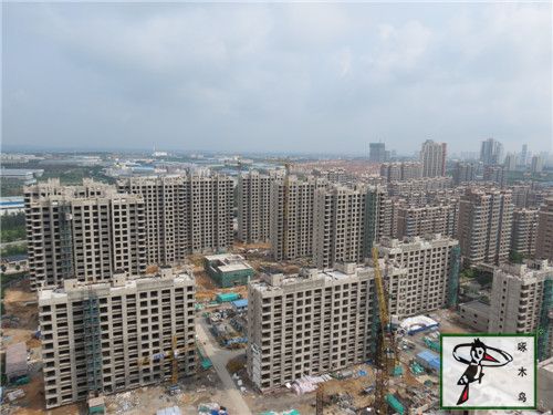 庆祝啄木鸟漆业集团签约精品楼盘